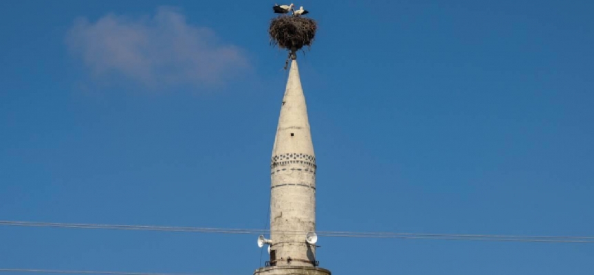 Ağır hasar alan minaredeki leylek yuvası cami kubbesine taşındı