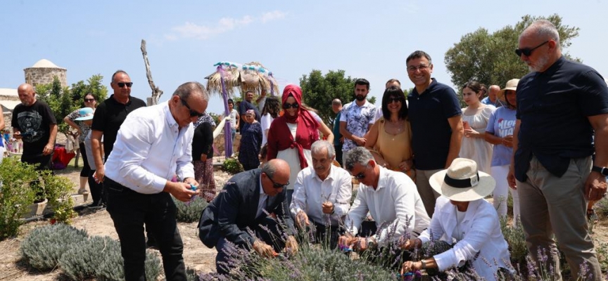 Tatlısu’da 3. Lavanta Günleri etkinliği yapıldı…