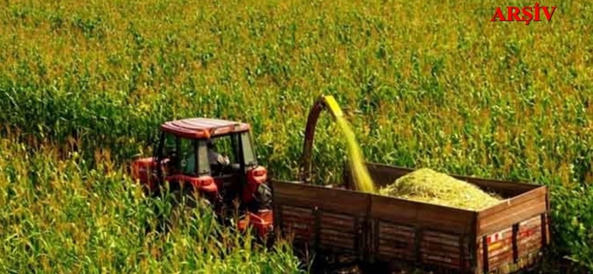 “Tohumluk Tahıl Ve İkinci Ürün Olarak Mısır Silaji Üretim Projesi” ilk hasadı yapıldı