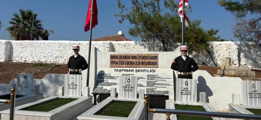 Taşpınar Şehitleri anıldı