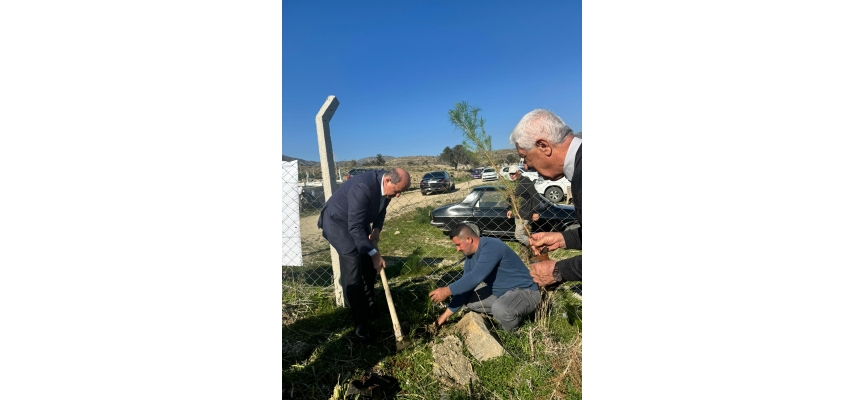 Cumhurbaşkanı Tatar Arıdamı köyünde fidan dikme etkinliğine katıldı