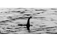 Loch Ness Canavarı'nın varlığı 'makul' olabilir