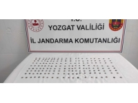 Yozgat'ta 176 sikke ele geçirildi