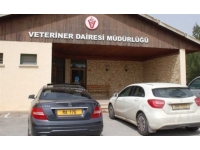 Veteriner Dairesi’nden işletmelere uyarı