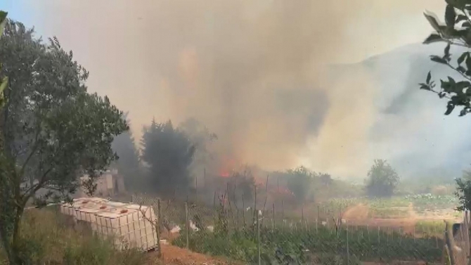 İstanbul Beykoz'da orman yangını: Havadan ve karadan müdahale sürüyor