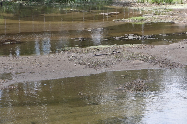 Tunca Nehri'nde su seviyesi yüzde 50 azaldı