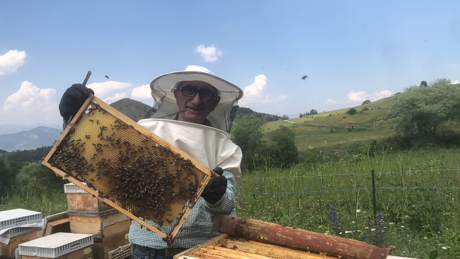 Artvin'de yavru arı bereketi