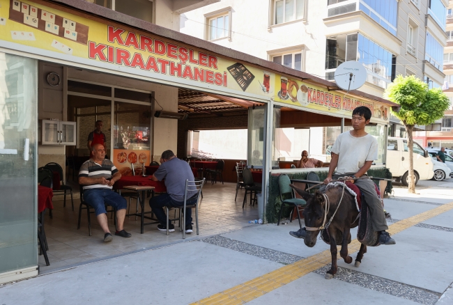 Japon turist eşekle adım adım Türkiye'yi gezdi