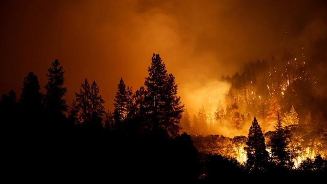 California yangınlarla boğuşuyor: Ölü sayısı 4'e yükseldi