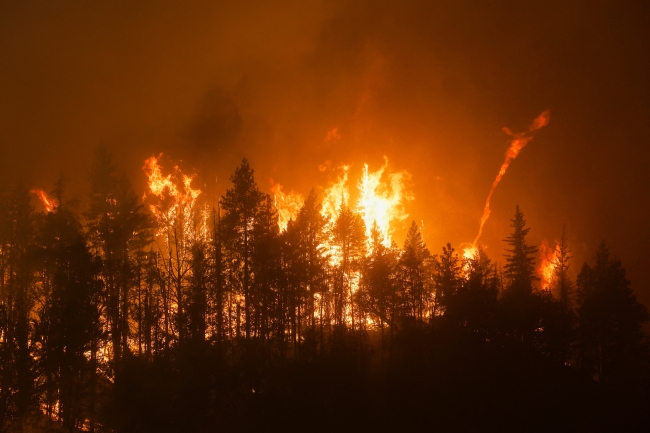 California yangınlarla boğuşuyor: Ölü sayısı 4'e yükseldi