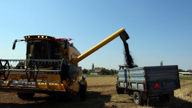 Uşak, çörek otunda 3500 ton rekolte bekliyor