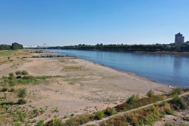 Almanya’da Ren Nehri’nin su seviyesinde ciddi düşüş