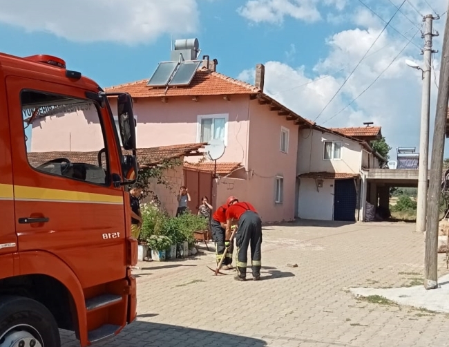 Kanalizasyon borusunda mahsur kalan köpek kurtarıldı