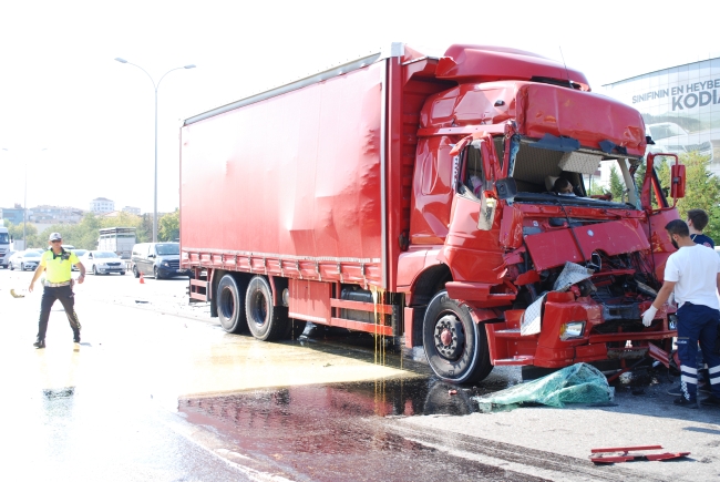 TEM Otoyolu'nda iki kamyon çarpıştı: 1 ölü, 2 yaralı