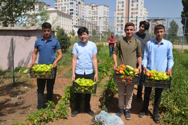 Öğretmenler ve öğrenciler ürün yetiştirip ihtiyaç sahiplerine ulaştırıyor