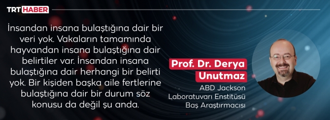 Çin'de ortaya çıkan Langya virüsü sıkı önlemler gerektirebilir