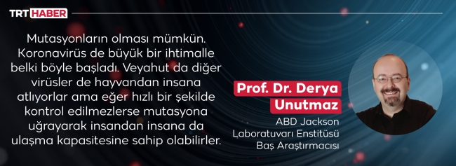 Çin'de ortaya çıkan Langya virüsü sıkı önlemler gerektirebilir