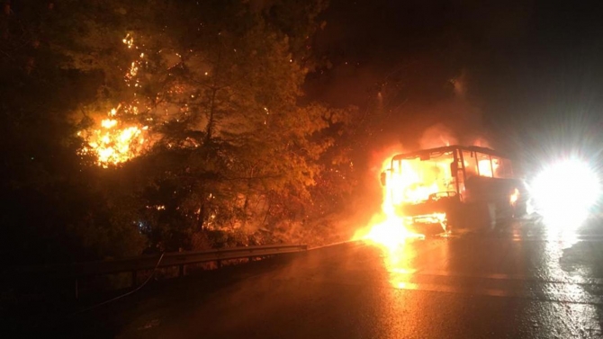 Muğla'da yolcu otobüsündeki yangın ormana sıçradı