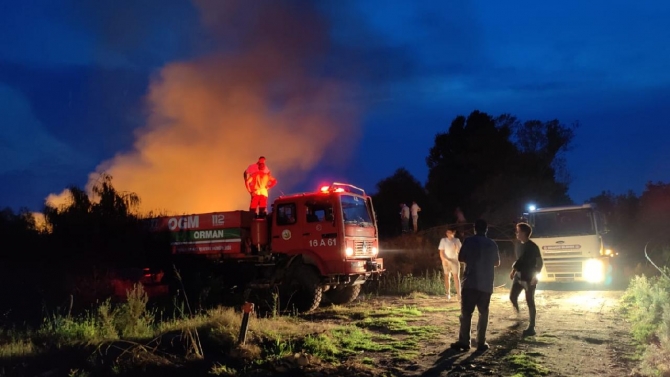 İznik Gölü kıyısında yangın