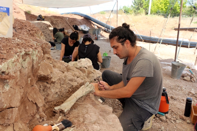 Çankırı'da bulunan hayvan fosili sayısı 4 bine ulaştı