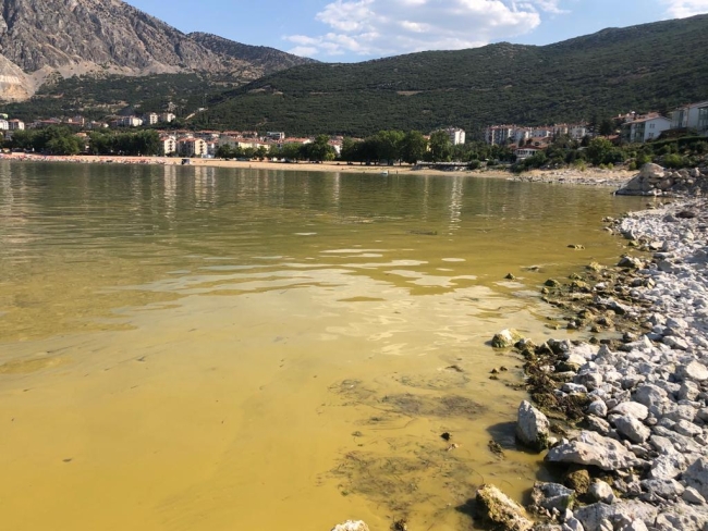 İstanbul'daki Sazlıbosna Gölü tehlike saçıyor: Su da içmeyin, tarımda da kullanmayın