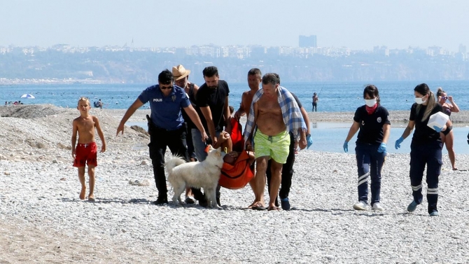 Kaçırılmak istenen köpek, sahibi bıçaklanınca başından ayrılmadı