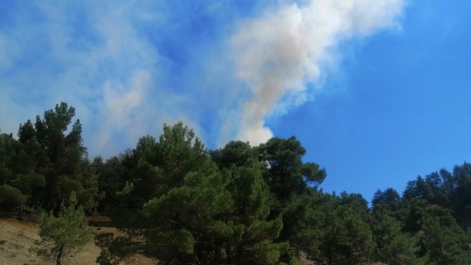 Antalya'da orman yangını: Havadan ve karadan müdahale ediliyor