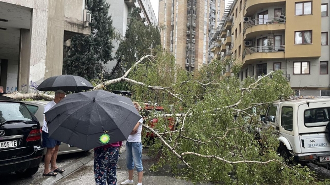 Üsküp’te rüzgar ve şiddetli yağmur hayatı olumsuz etkiledi