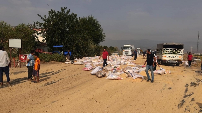 Gaziantep'te 5 ton yem, tır dorsesinden yola saçıldı