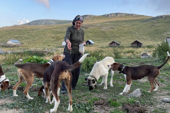 Köroğlu Dağları'nın zirvesinde ürettiği ürünlerle geçimini sağlıyor