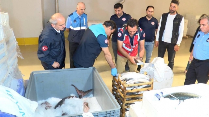 Marmara Denizi'nde avlanan balıkçılara denetim