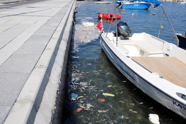 İzmir'deki deniz kirliliğine inceleme