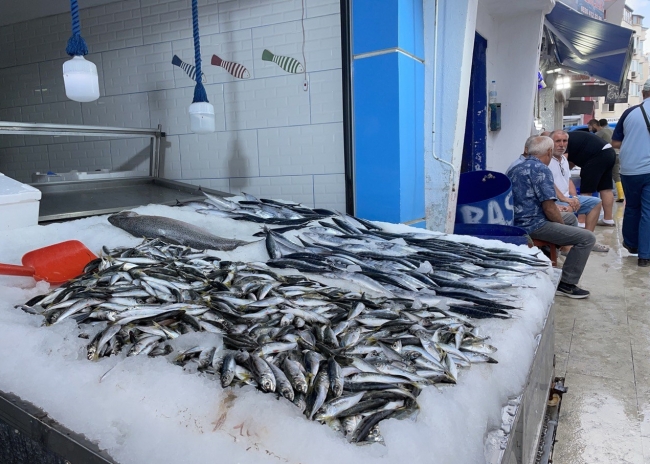 Karadeniz'de balıkçılar umduğunu bulamadı