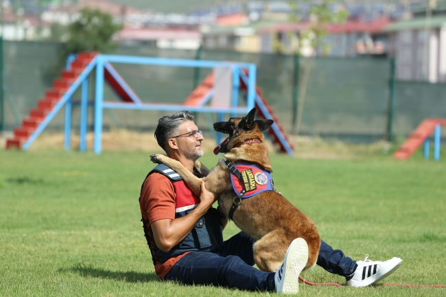 Jandarmanın can yoldaşı "Ezber" yıllardır uyuşturucunun izini sürüyor