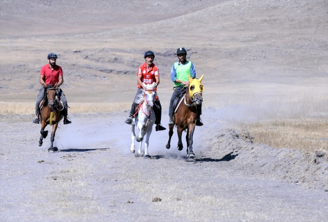 Ardahan'da rahvan atları yarıştı