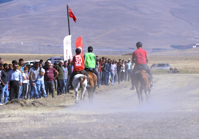 Ardahan'da rahvan atları yarıştı