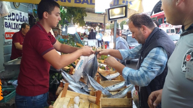 Zonguldak'ta palamut bolluğu: Fiyatlar düştü