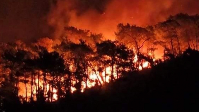 Muğla'da orman yangını