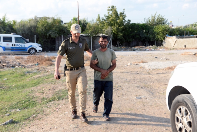 Seyyar satıcılık yaptığı atı yumrukladı, gözaltına alındı