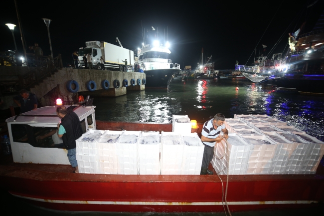 Batı Karadeniz'de palamut balıkçıların yüzünü güldürdü