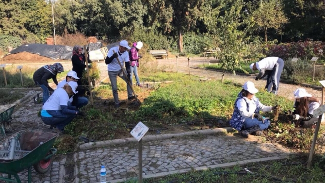 Gönüllü bahçıvanlık yaparak stres atıyorlar