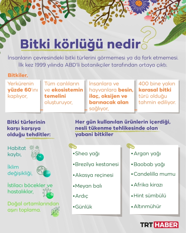 Bitkilere karşı “kör” müyüz?