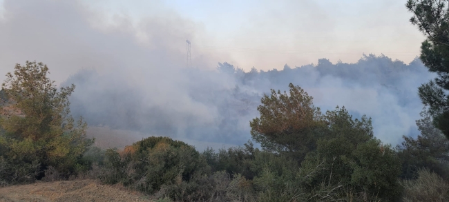 Adana'da orman yangını