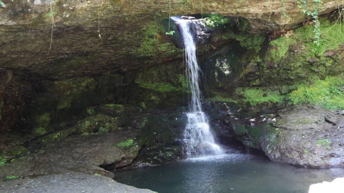 Artvin'de "ormanın yüzüğü" ismi verilen şelale turizme kazandırılacak