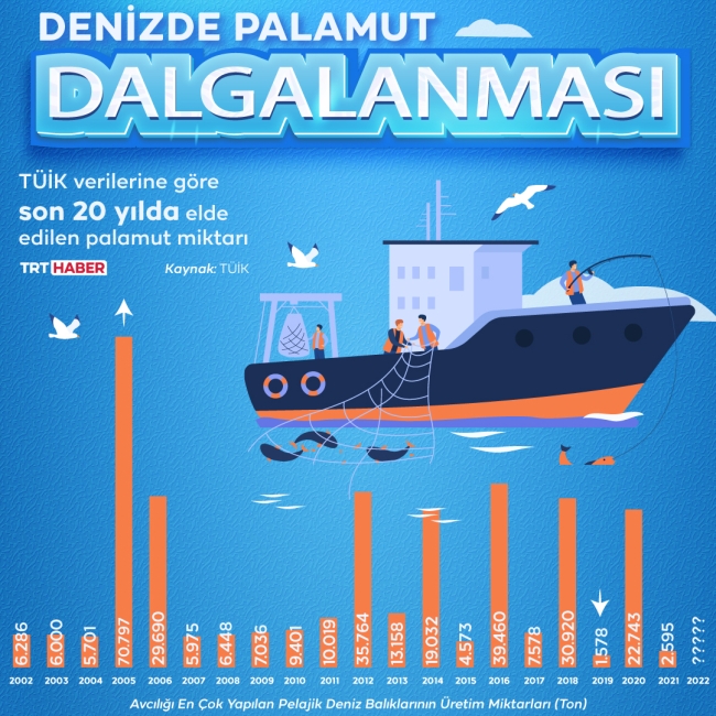 Denizde palamut ‘dalgalanması’