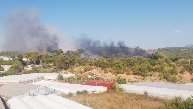 Antalya'nın Kumluca ilçesinde orman yangını çıktı