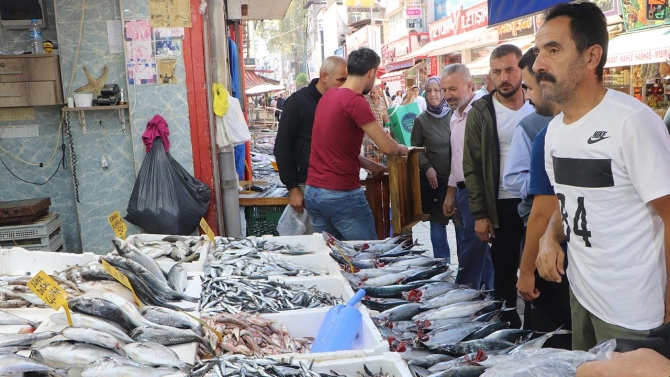 Karadeniz'de palamut bereketi sürüyor