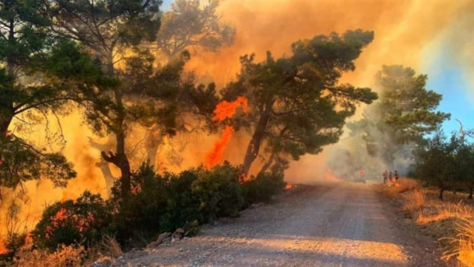 Antalya’da çıkan orman yangınında 5 dekar alan kül oldu