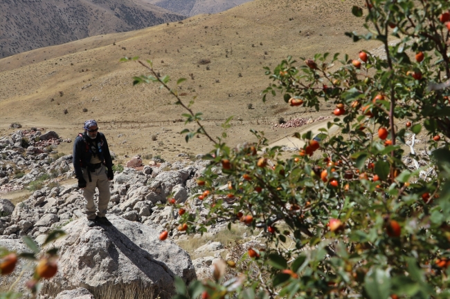 Dağcı Erdek Cennet'in "Anadolu Parsı" olma hedefine bir adım kaldı