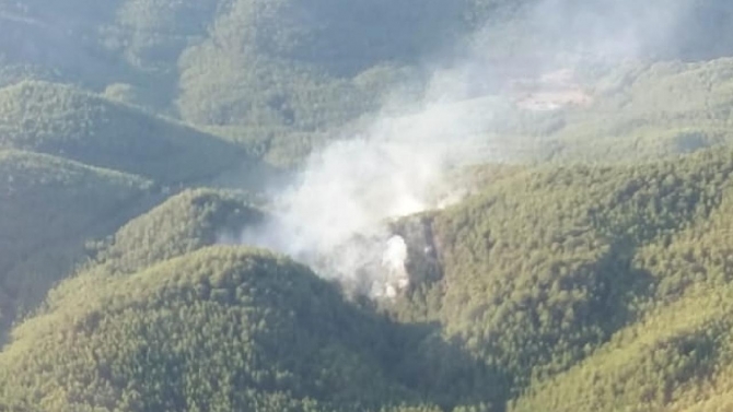 Muğla'da orman yangını: Havadan ve karadan müdahale ediliyor